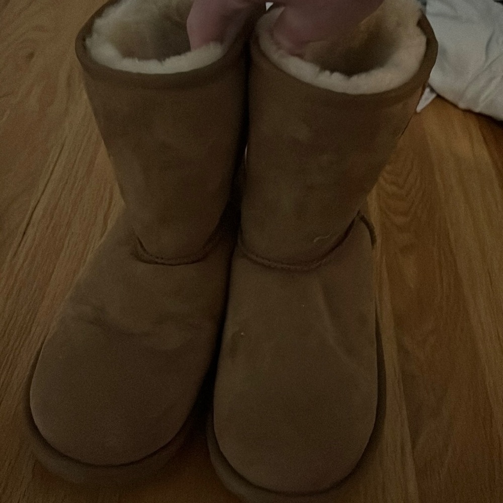 Short Uggs